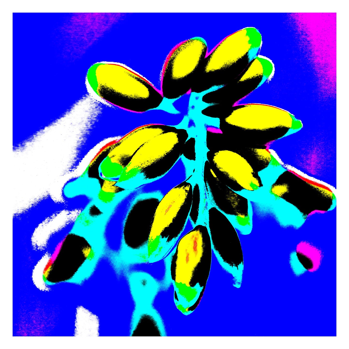 Xtra POP Set - Ginger Flower Buds - 181863v4 - 104x104cm, Bright yellow buds with black shading against a vivid blue and cyan background, featuring neon green and pink accents.