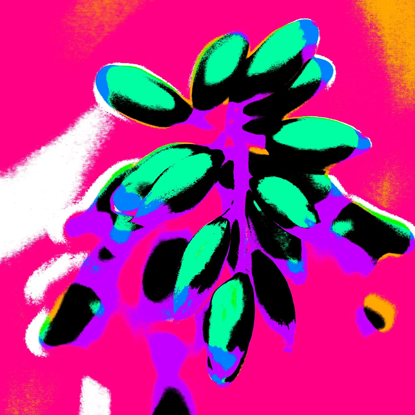Xtra POP Set - Ginger Flower Buds - 181863v6 - 90x90cm, Teal and aqua buds outlined in black, set against a vivid hot pink and magenta background with purple and orange highlights.