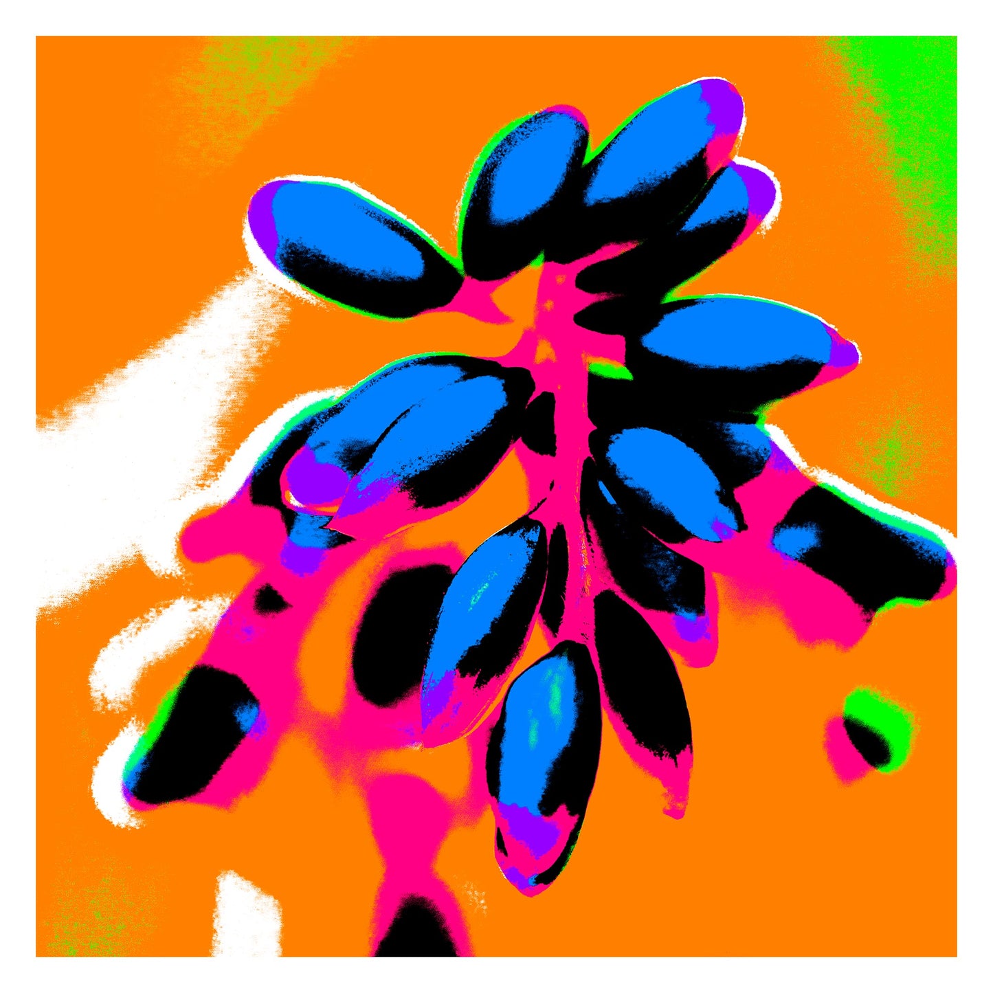 Xtra POP Set - Ginger Flower Buds - 181863v9 - 104x104cm, Vivid electric blue buds on a magenta-red stem over a saturated orange background, accented with lime green and hot pink tones.