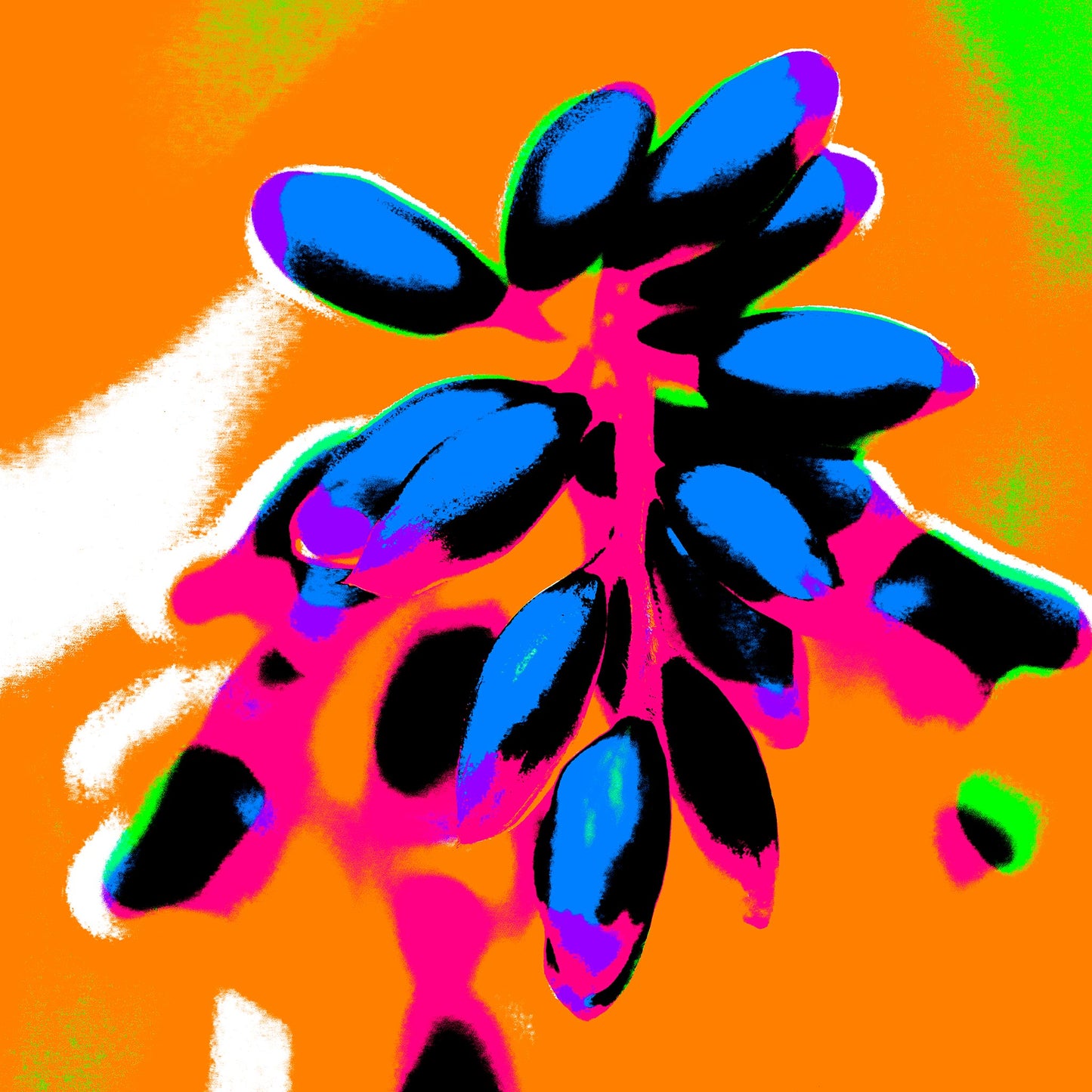 Xtra POP Set - Ginger Flower Buds - 181863v9 - 90x90cm, Vivid electric blue buds on a magenta-red stem over a saturated orange background, accented with lime green and hot pink tones.