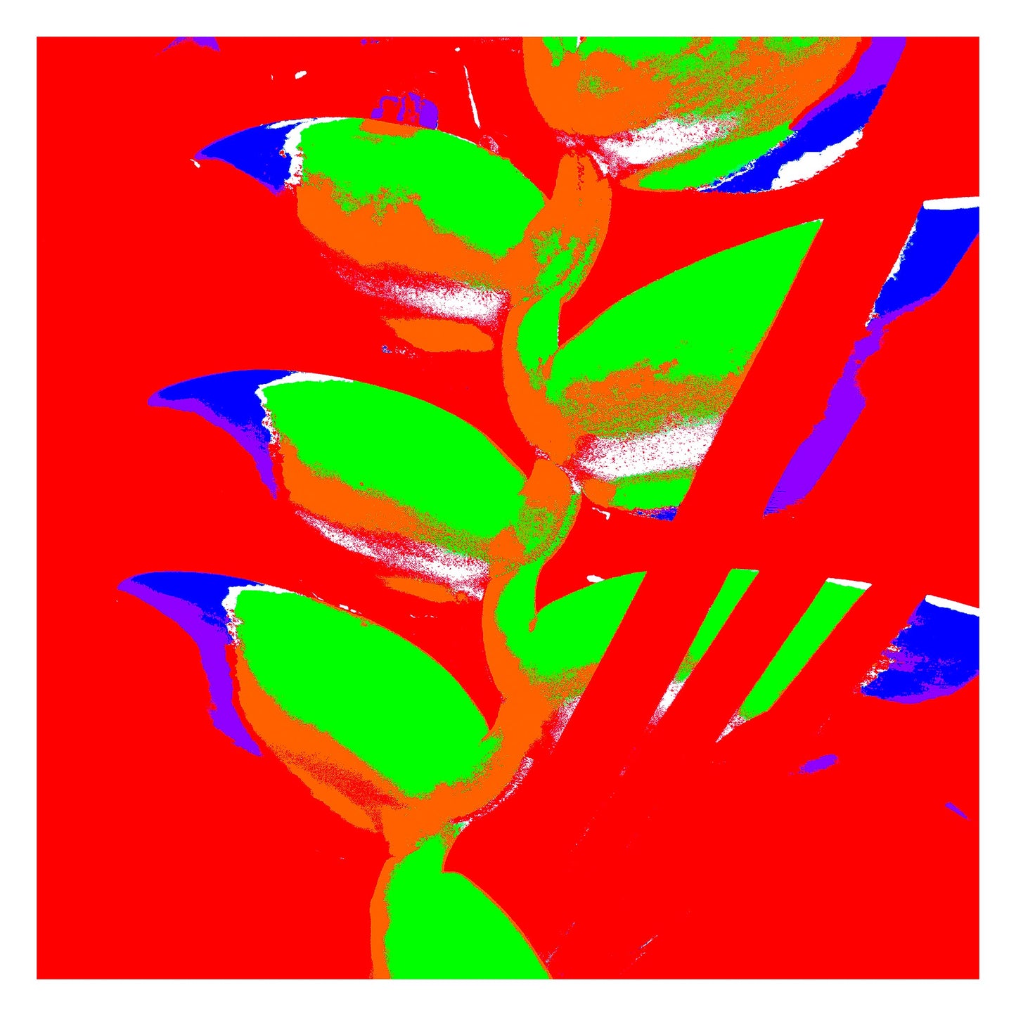 Xtra POP Set - Heliconia - 185791v54a - 104x104cm, Bright green heliconia petals with orange shading against a vivid red background, accented with electric blue tips in a bold Pop Art style.