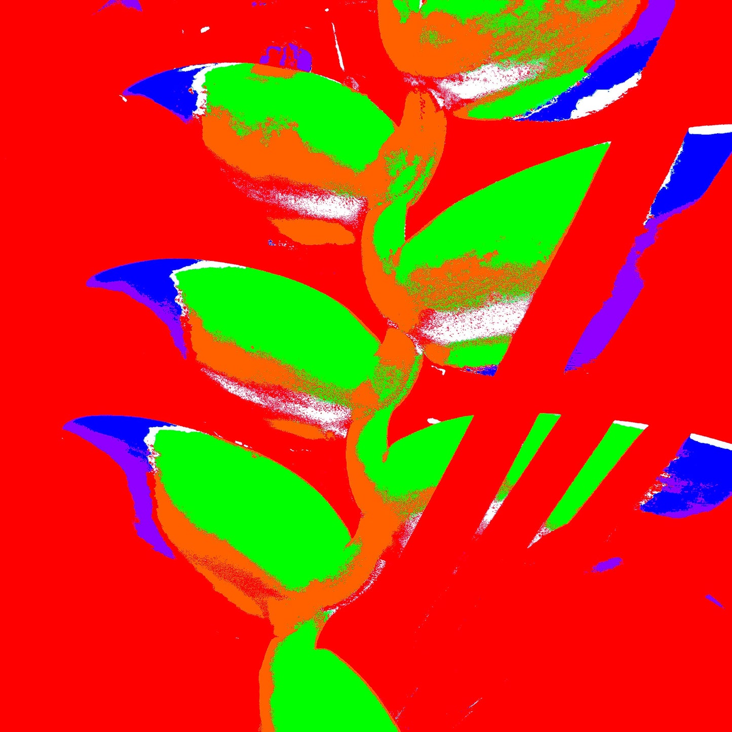 Xtra POP Set - Heliconia - 185791v54a - 90x90cm, Bright green heliconia petals with orange shading against a vivid red background, accented with electric blue tips in a bold Pop Art style.