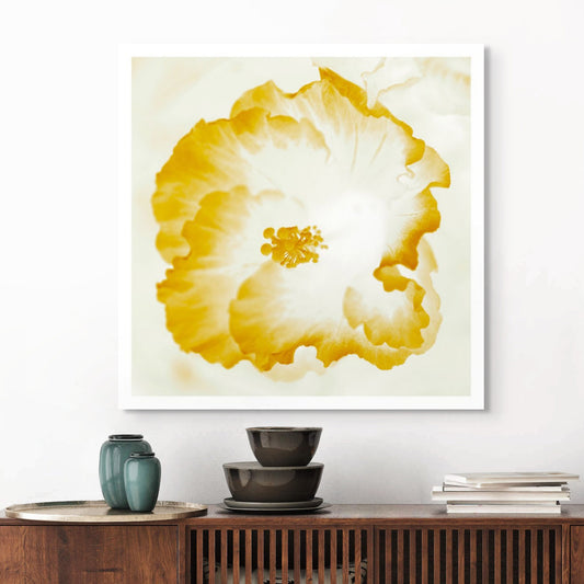 Hibiscus No.1 - 182076v101d - Room View, Soft golden-white hibiscus artwork with light-infused petals and warm translucent tones in a minimalist Pop Art style.