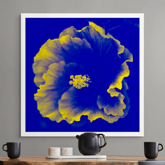Hibiscus No.2 - 182076v201b - Room View, A cobalt blue and vivid yellow hibiscus flower in Pop Art style, with bold contrast and surreal colour treatment.