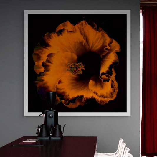 Hibiscus No.3 - 182073v20201-20 - Room View, Vivid orange hibiscus flower glowing against a deep black background in bold Pop Art style.