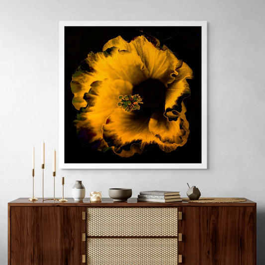 Hibiscus No.3 - 182073v20201-21 - Room View, Fiery orange hibiscus bloom in high-contrast Pop Art style on a black background, evoking heat and drama.