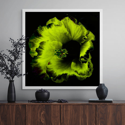 Hibiscus No.3 - 182073v20201-23 - Room View, Glowing green and black stylised hibiscus flower in vibrant Pop Art style with surreal luminescence and dark contrast.