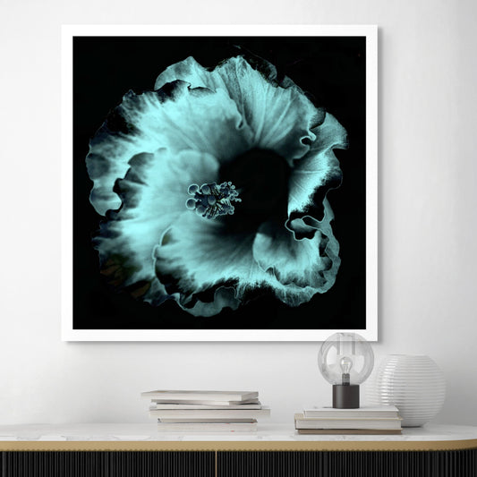 Hibiscus No.3 - 182073v20201-28 - Room View, Soft cyan and black stylised hibiscus flower in moody Pop Art style with velvet shadows and cool luminous tone.