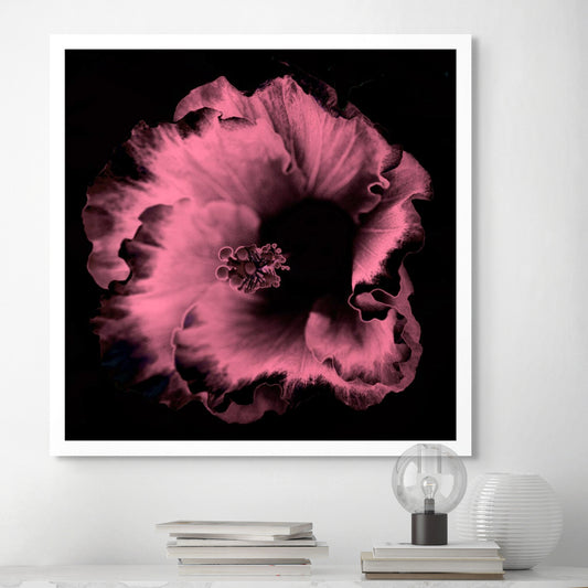 Hibiscus No.3 - 182073v20201-30 - Room View, Dark rose and black stylised hibiscus flower, softly lit in a moody Pop Art palette, with velvety detail against a black background.
