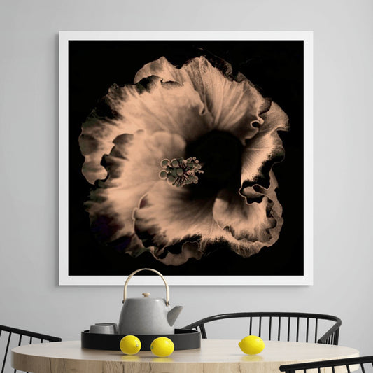 Hibiscus No.3 - 182073v20201-31 - Room View, Sepia-toned close-up of hibiscus flower in dramatic monochrome, softly lit against a black background, stylised in elegant Pop Art form.