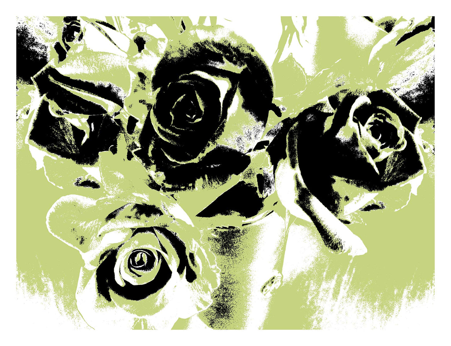 Xtra POP Set - Roses - Vase - 153339v52 - 104x81.5cm, Stylised lime green and black roses in a vase with bold contrast, limited edition fine art print.