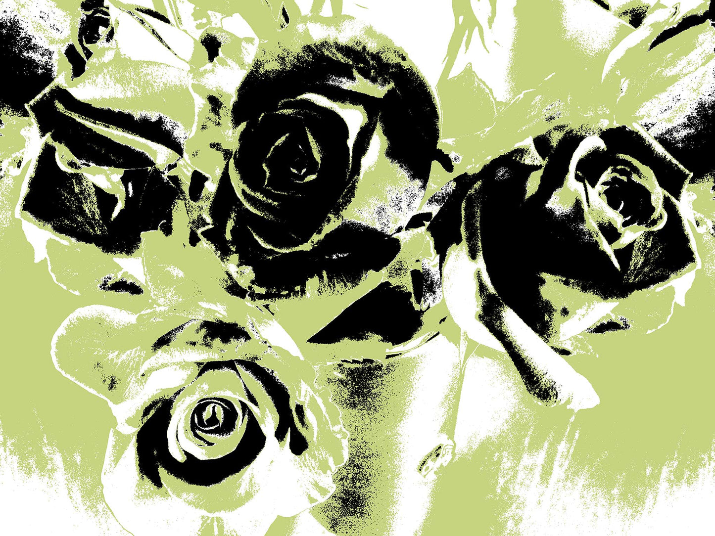 Xtra POP Set - Roses - Vase - 153339v52 - 90x67.5cm, Stylised lime green and black roses in a vase with bold contrast, limited edition fine art print.
