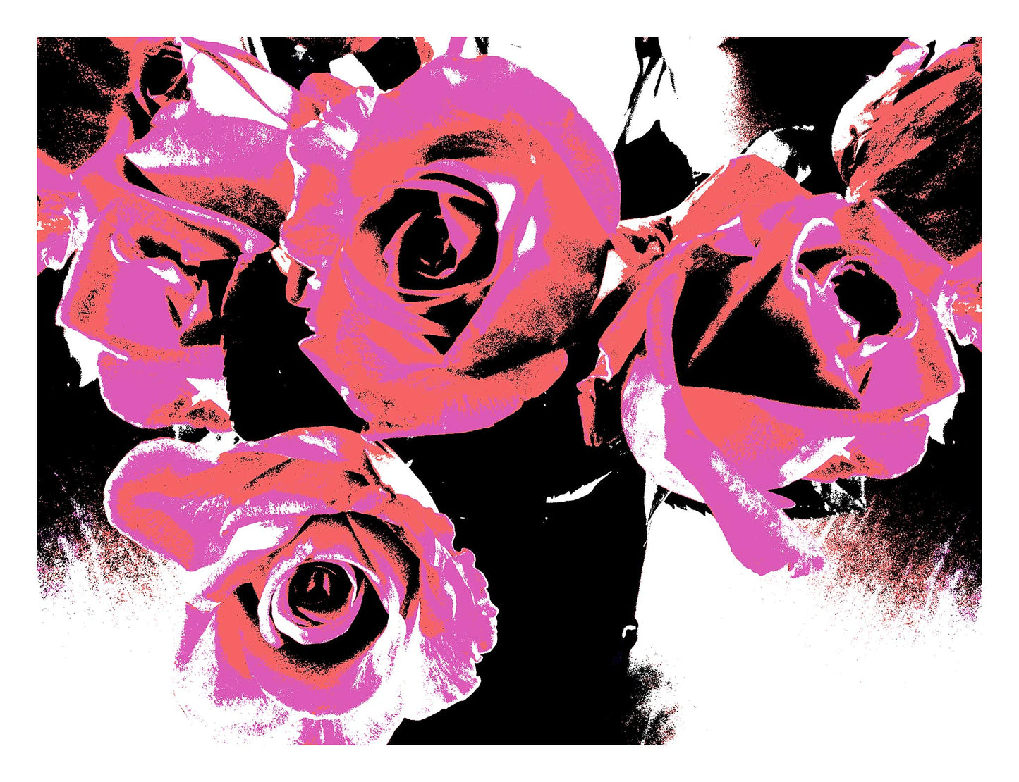 Xtra POP Set - Roses - Vase - 153339v53 - 104x81.5cm, Vibrant pink and red stylised roses in a black and white vase composition, limited edition fine art print.