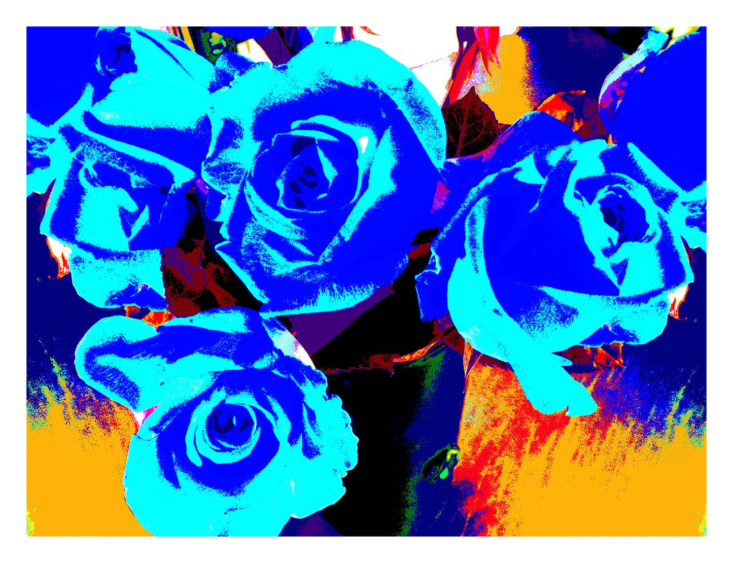 Xtra POP Set - Roses - Vase - 153339v65 - 104x81.5cm, Bold blue roses against a vivid yellow, red, and blue background, limited edition fine art print.