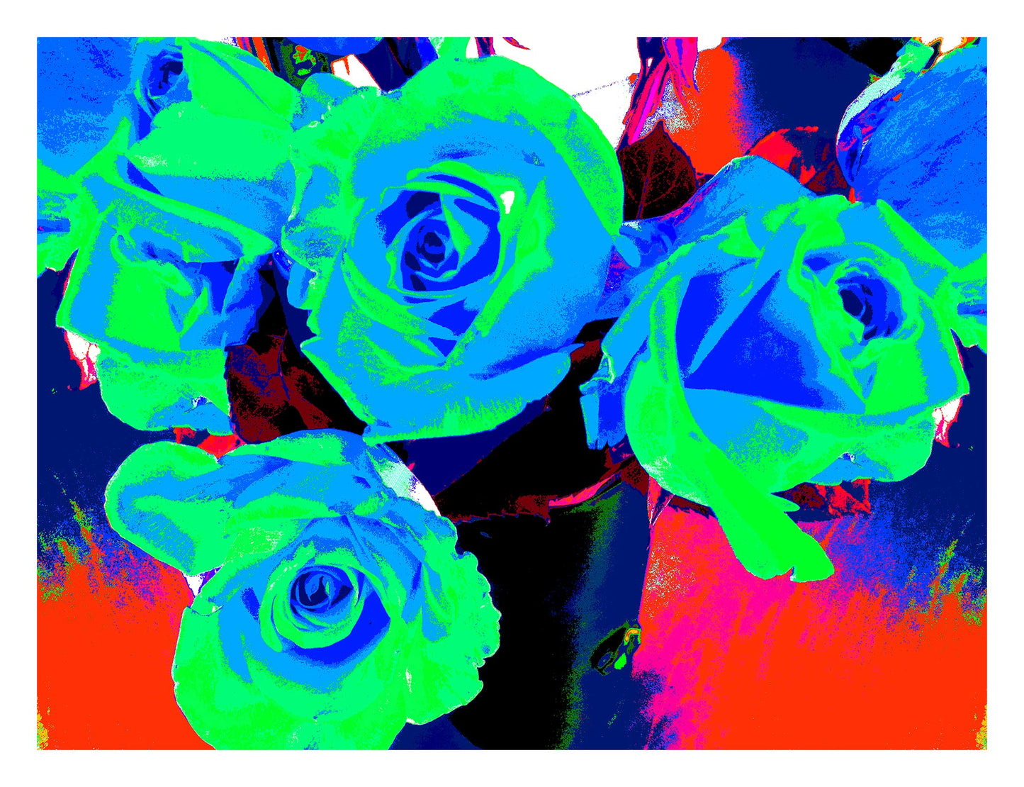 Xtra POP Set - Roses - Vase - 153339v66 - 104x81.5cm, Neon blue and green roses with vivid red, pink, and blue background, limited edition fine art print.