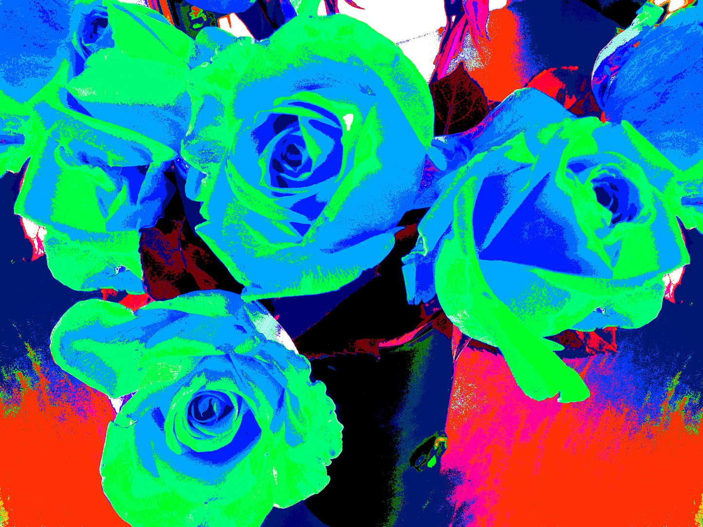 Xtra POP Set - Roses - Vase - 153339v66 - 90x67.5cm, Neon blue and green roses with vivid red, pink, and blue background, limited edition fine art print.