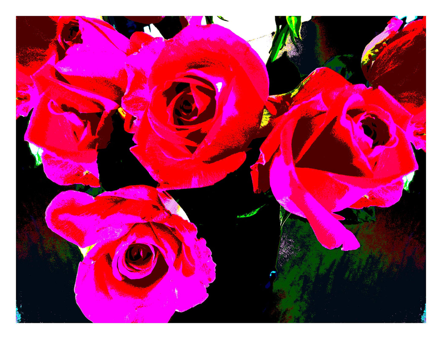 Xtra POP Set - Roses - Vase - 153339v68 - 104x81.5cm, Bright red and hot pink roses with dramatic dark background, limited edition fine art print.
