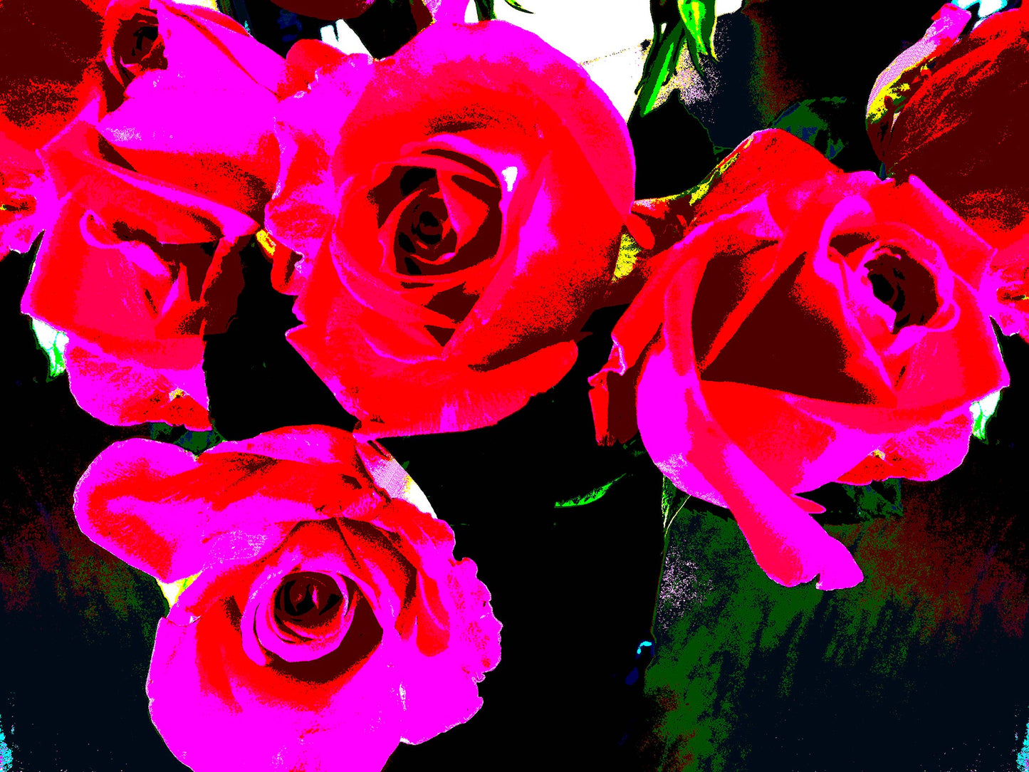 Xtra POP Set - Roses - Vase - 153339v68 - 90x67.5cm, Bright red and hot pink roses with dramatic dark background, limited edition fine art print.