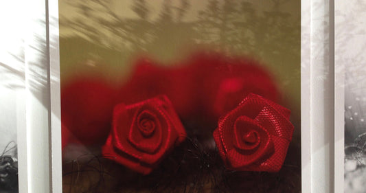 Exhibition - Lost in there Bush by Raymond Mather at ART1 Fine Art Photography Australia
