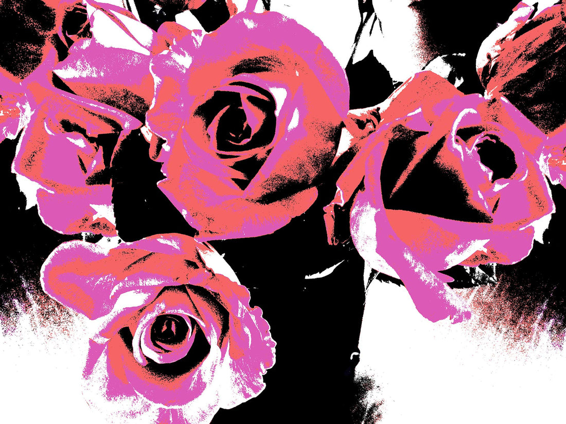 POP Art Flowers - neon pink roses on black and white background, bold contemporary botanical artwork by Raymond Mather