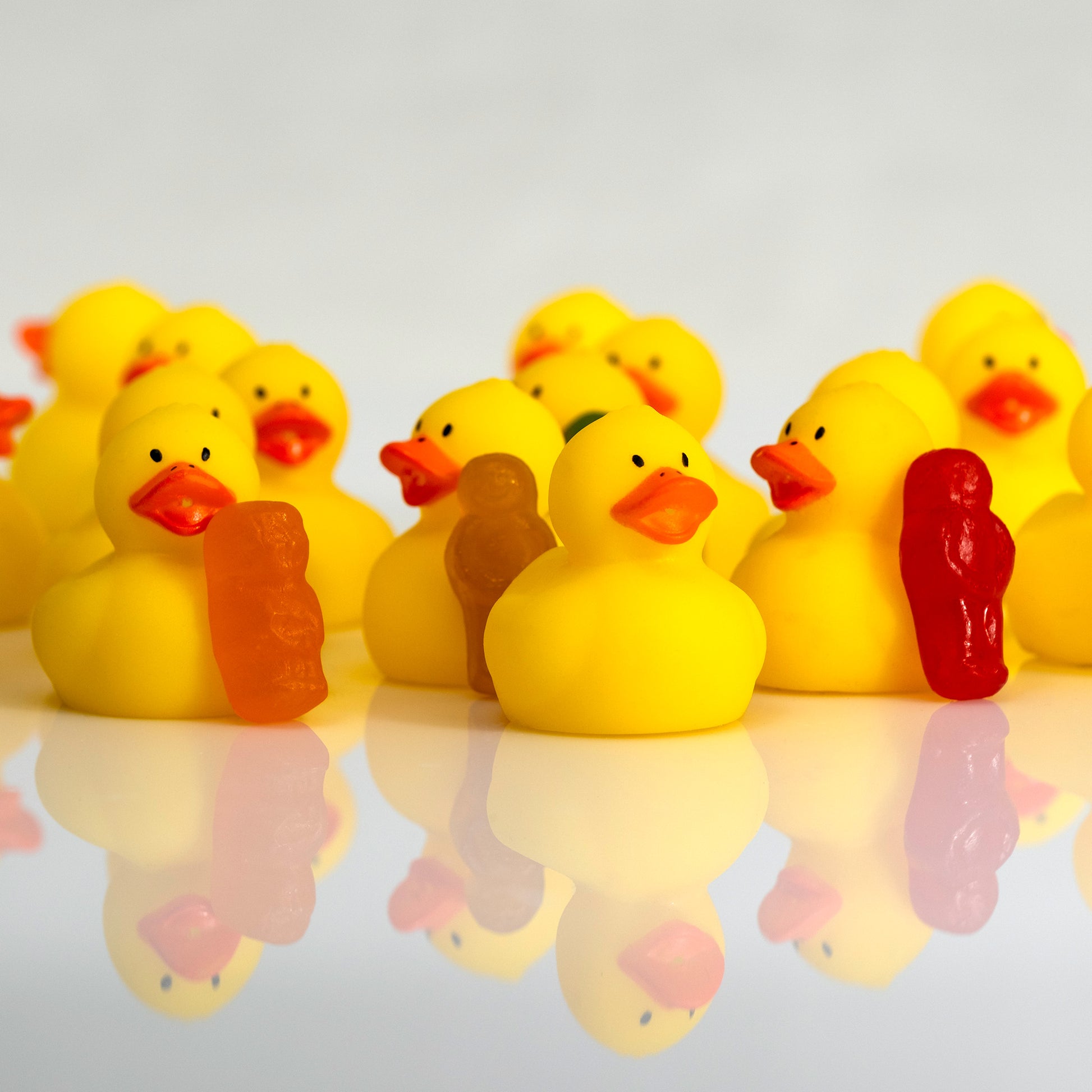 Close-up of yellow rubber ducks with orange, brown and red miniature figures reflected below.