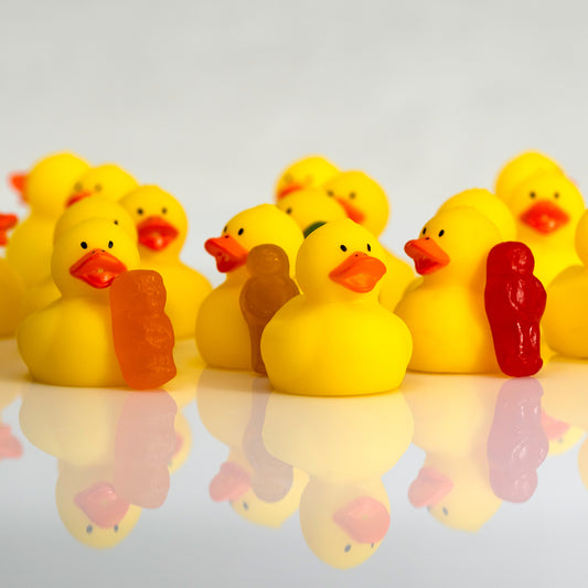 Close-up of yellow rubber ducks with orange, brown and red miniature figures reflected below.