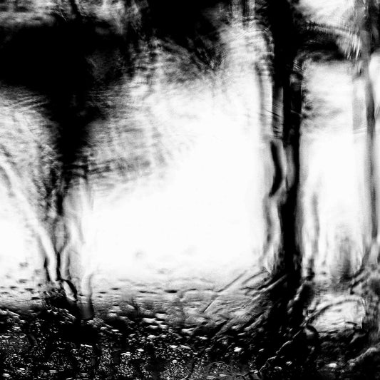 Coastal Noir 7221 - Close Detail View, black and white coastal scene with blurred jetty and trees through rain-speckled glass, abstract minimalist print.