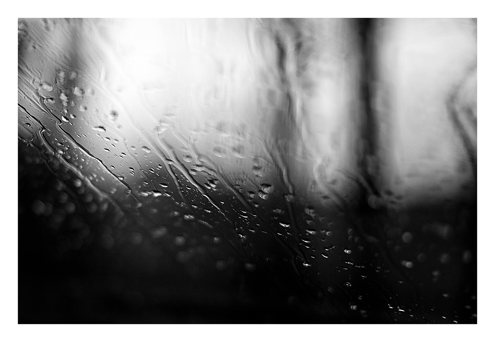 Coastal Noir 7919 - 104x74cm, dramatic black and white image of trees and water softened through rain-dappled glass, minimalist fine art print.