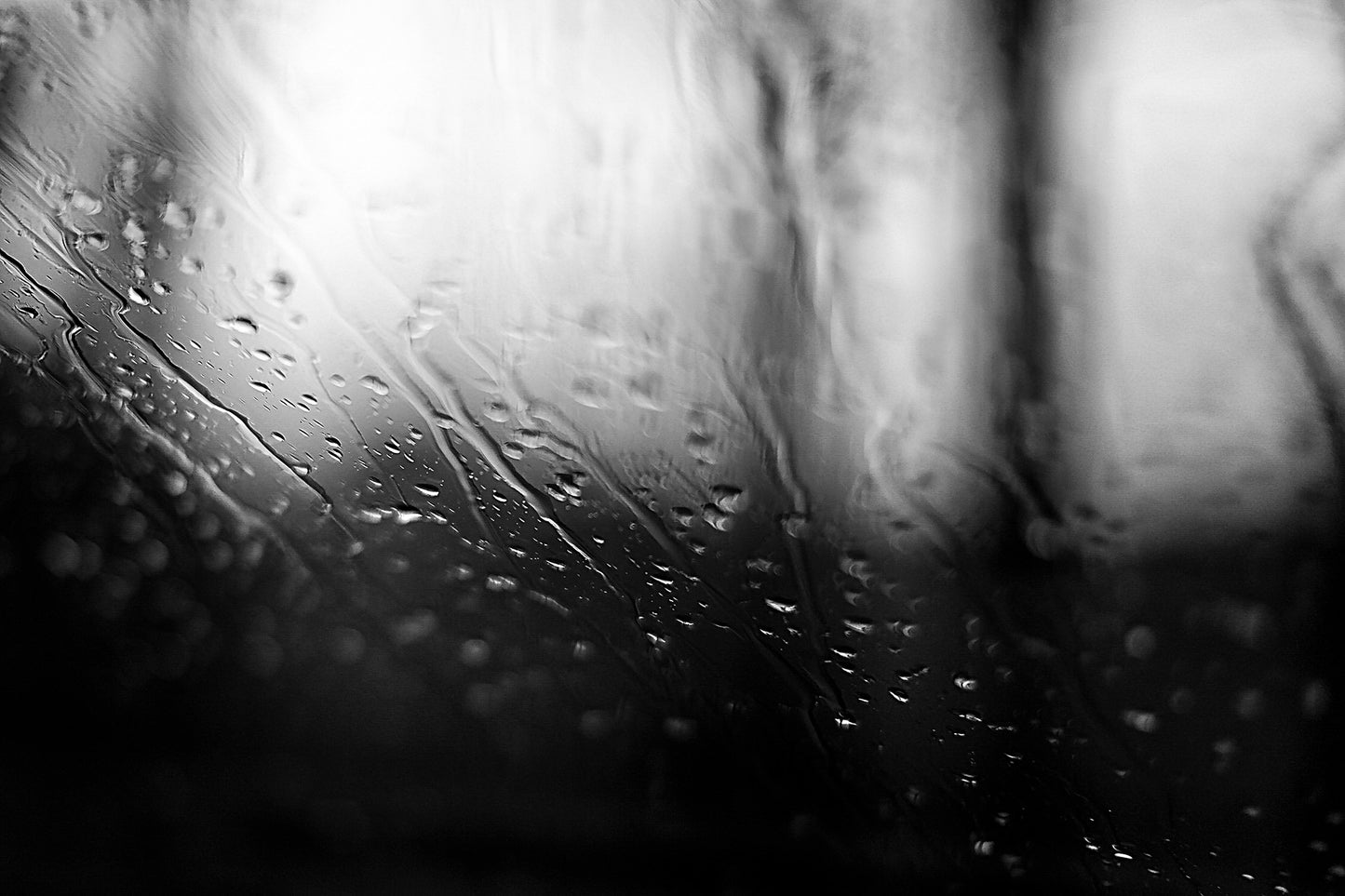 Coastal Noir 7919 - 90x60cm, dramatic black and white image of trees and water softened through rain-dappled glass, minimalist fine art print.