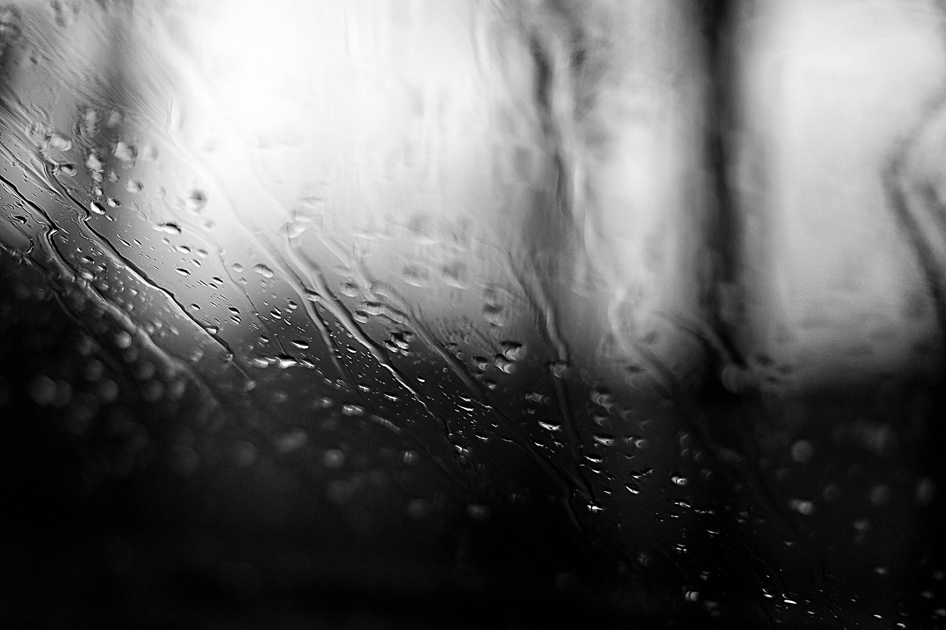 Coastal Noir 7919 - 90x60cm, dramatic black and white image of trees and water softened through rain-dappled glass, minimalist fine art print.