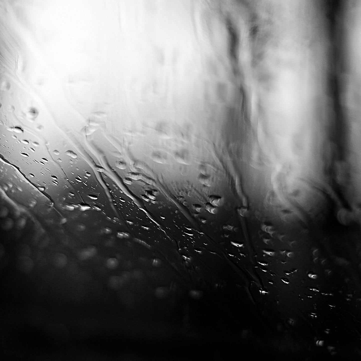 Coastal Noir 7919 - Close Detail View, dramatic black and white image of trees and water softened through rain-dappled glass, minimalist fine art print.