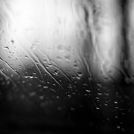 Coastal Noir 7919 - Close Detail View, dramatic black and white image of trees and water softened through rain-dappled glass, minimalist fine art print.