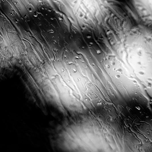 Coastal Noir 7964 - Close Detail View, black and white coastal scene of trees and shoreline blurred behind rain-speckled glass, minimalist fine art print.