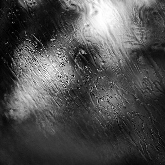 Coastal Noir 7982 - Close Detail View, abstract black and white coastal image with layered rain textures over blurred trees and shoreline.