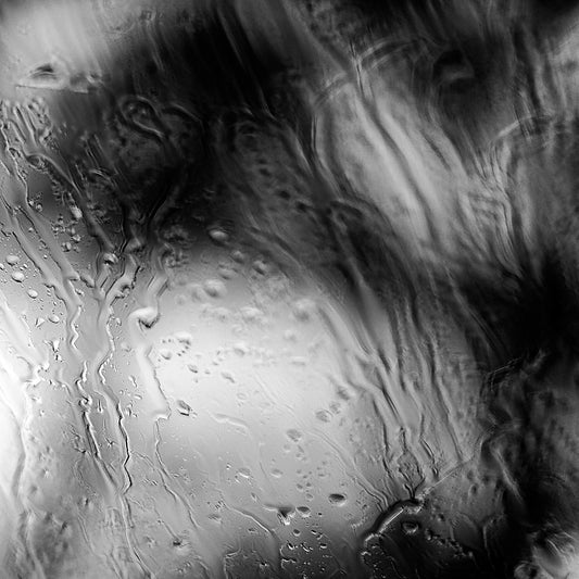 Coastal Noir 8000 - Close Detail View, black and white minimalist coastal photograph of rain-dappled glass with soft focus trees behind.