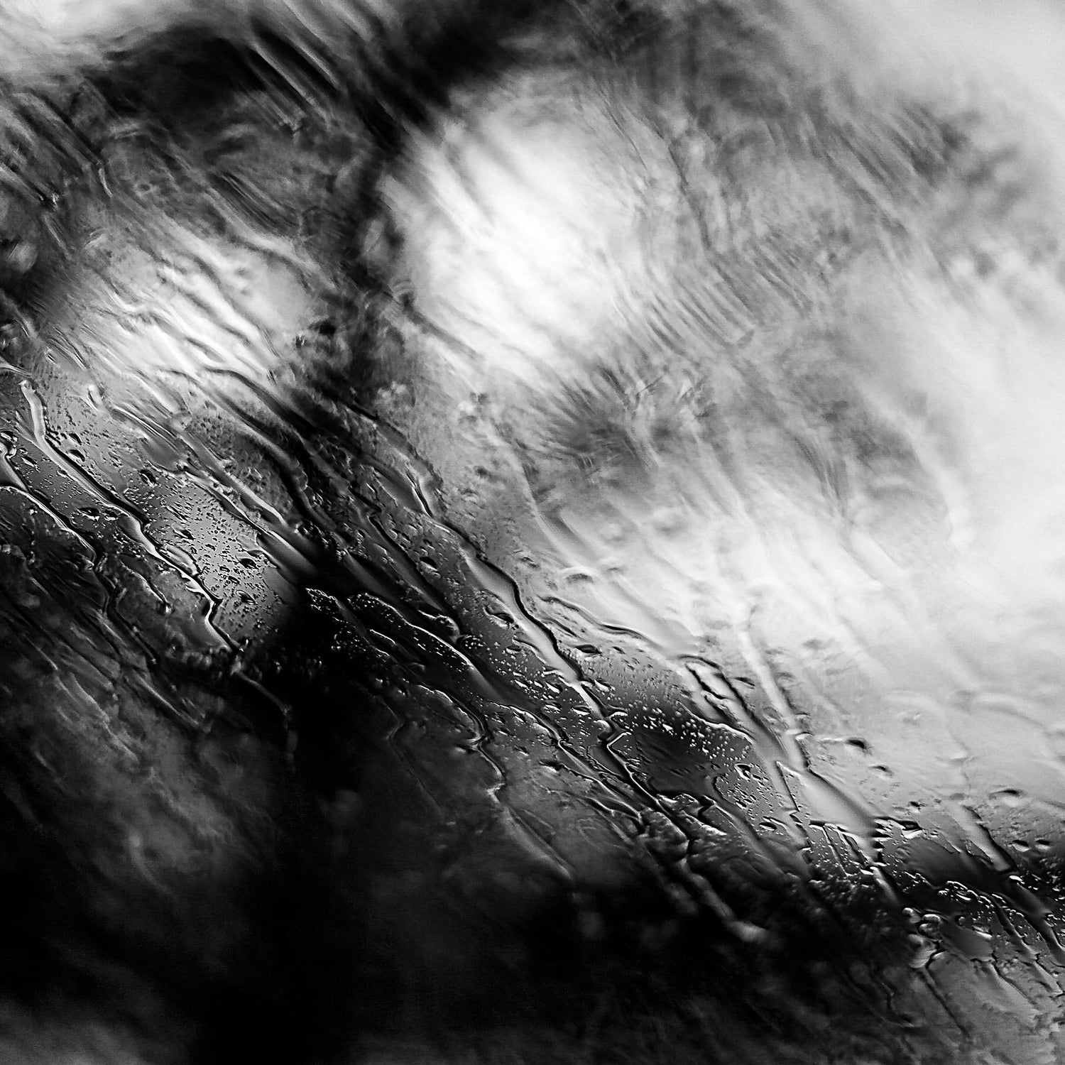Coastal Noir 8013 - Close Detail View, abstract black and white fine art coastal photograph with delicate rain droplets blurring trees in the background.