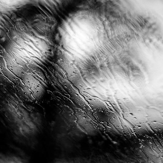 Coastal Noir 8013 - Close Detail View, abstract black and white fine art coastal photograph with delicate rain droplets blurring trees in the background.