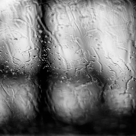 Coastal Noir 8017 - Close Detail View, abstract monochrome photograph of blurred coastal trees seen through rain-dappled glass, minimalist print.