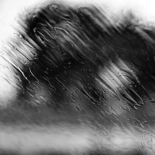 Coastal Noir 8100 - Close Detail View, black and white abstract coastal photograph with blurred dune or foliage behind rain-streaked glass, atmospheric fine art print.