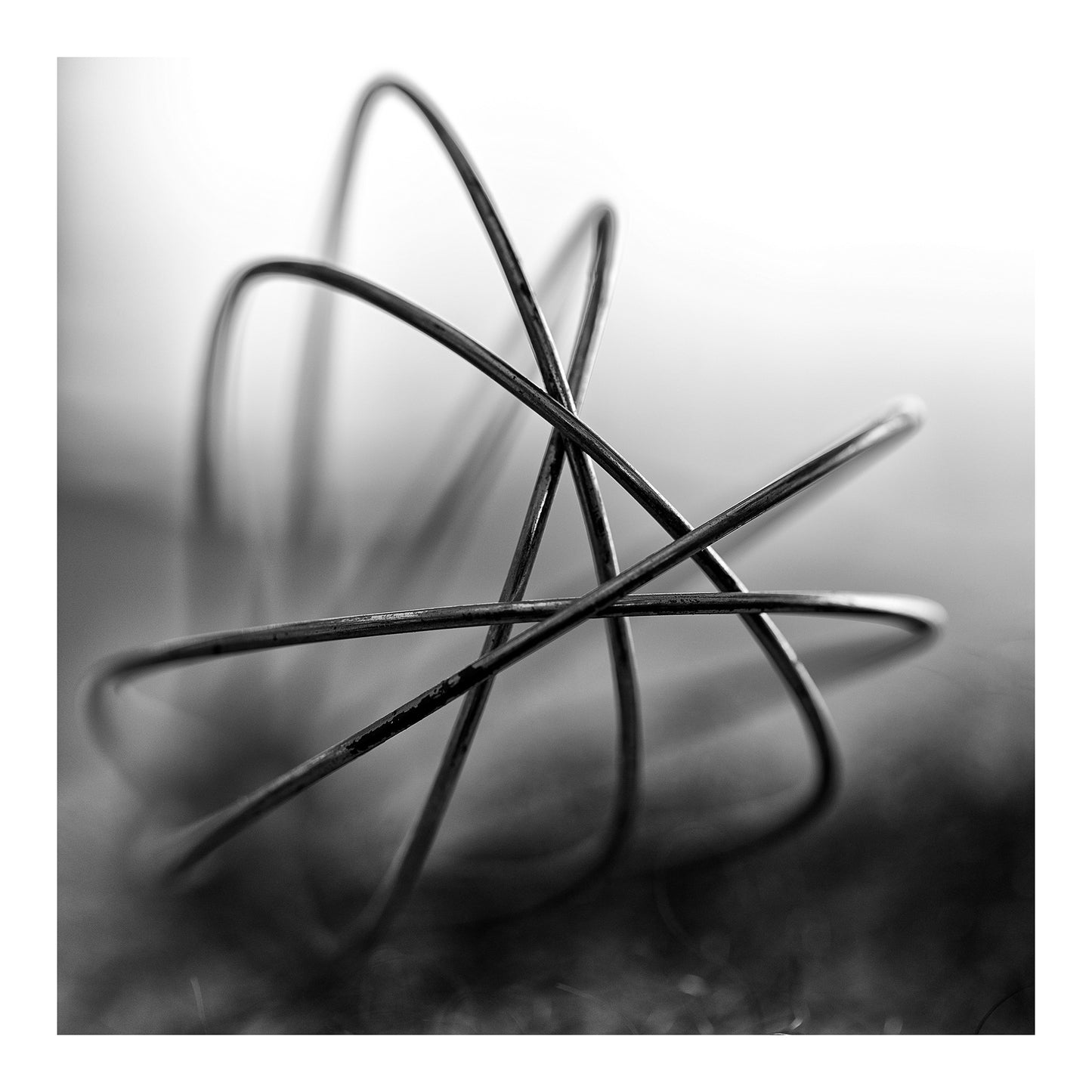 Narrative Works - Lost in the Bush - Beat Around The Bush - 60x60cm Square (#182563)
