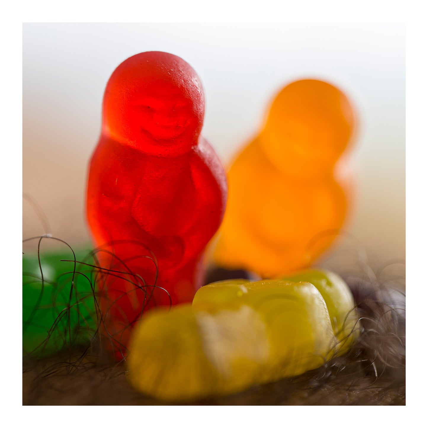 Narrative Works - Lost in the Bush - Bush Babies - 60x60cm Square (#182826)