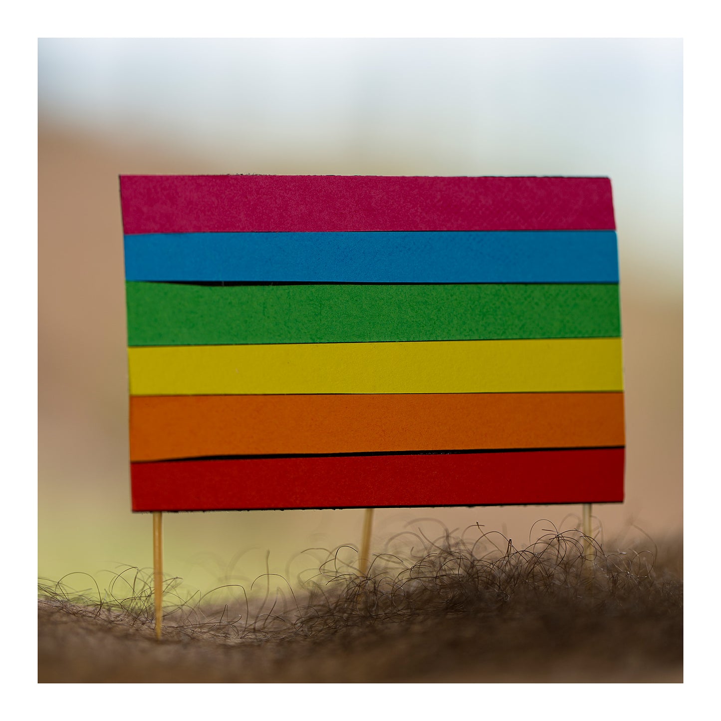 Narrative Works - Lost in the Bush - Bush Camp - 60x60cm Square (#182647)