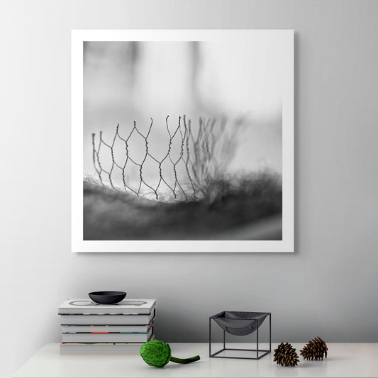 Narrative Works - Lost in the Bush - Bush Regeneration - 60x60cm Square (#182850)