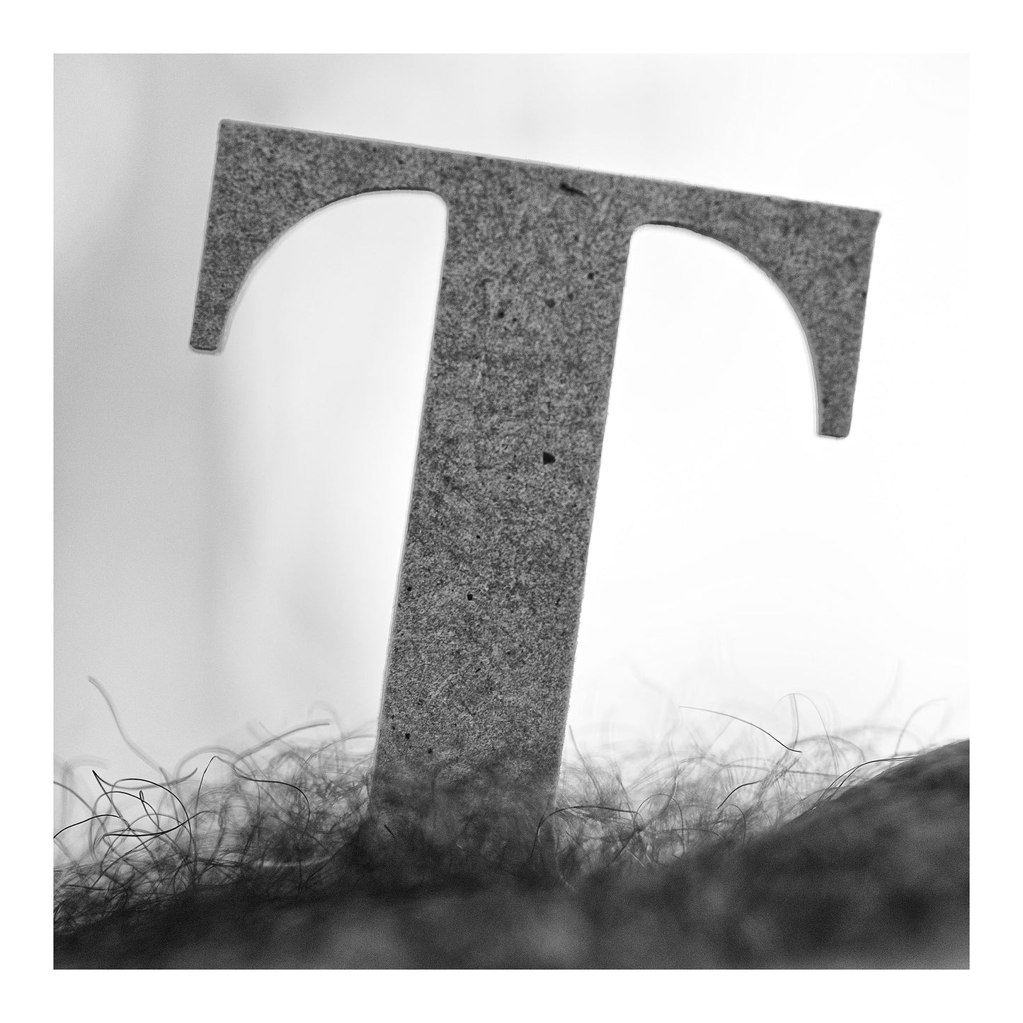 Narrative Works - Lost in the Bush - Bush T - 60x60cm Square (#183205)