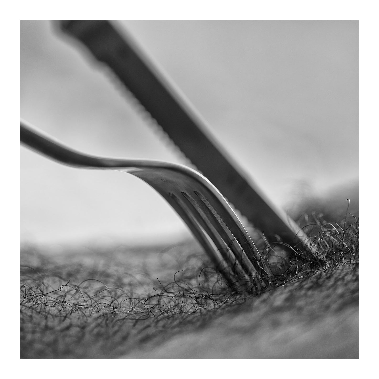Narrative Works - Lost in the Bush - Bush Tucker - 60x60cm Square (#182699)