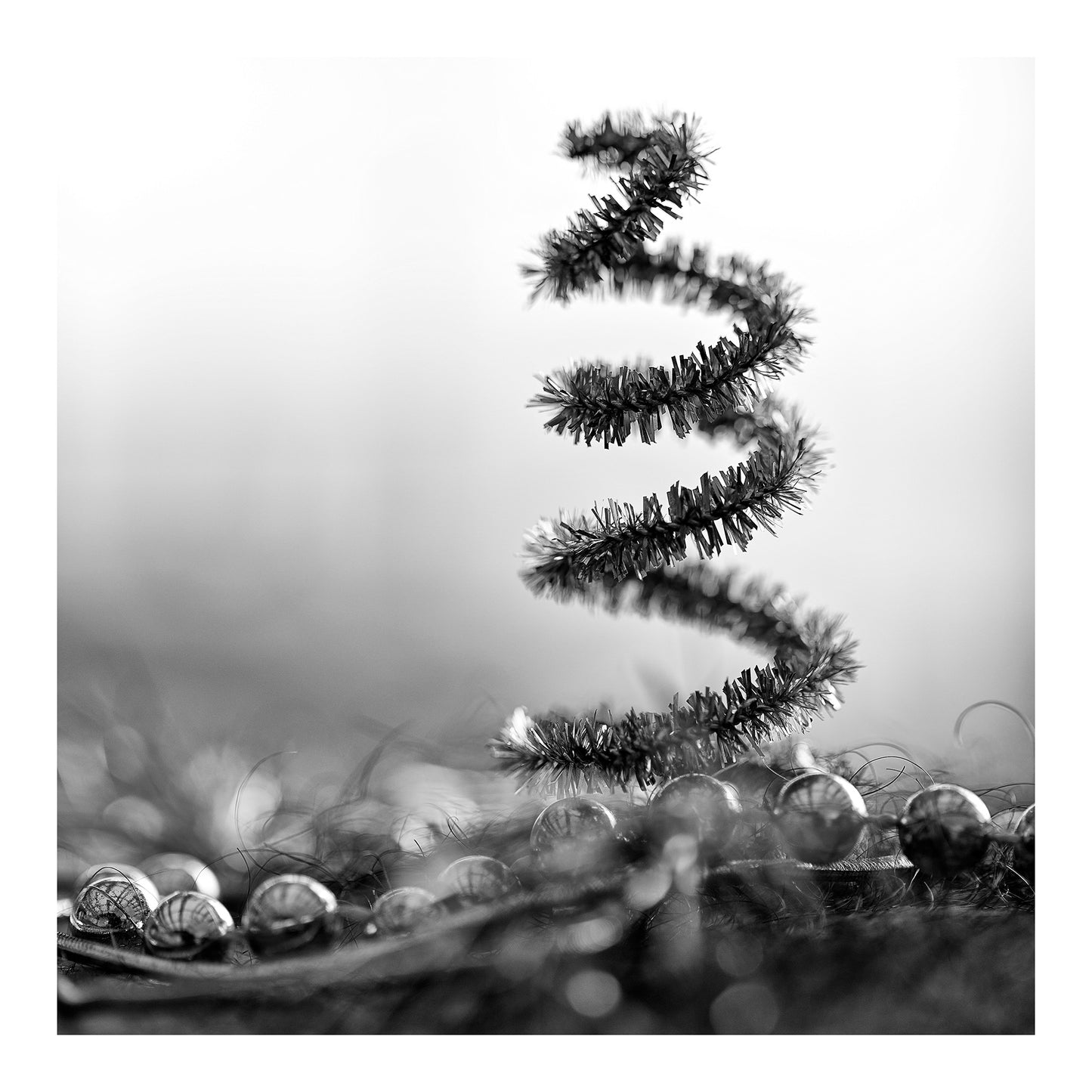 Narrative Works - Lost in the Bush - Christmas Bush - 60x60cm Square (#182707)