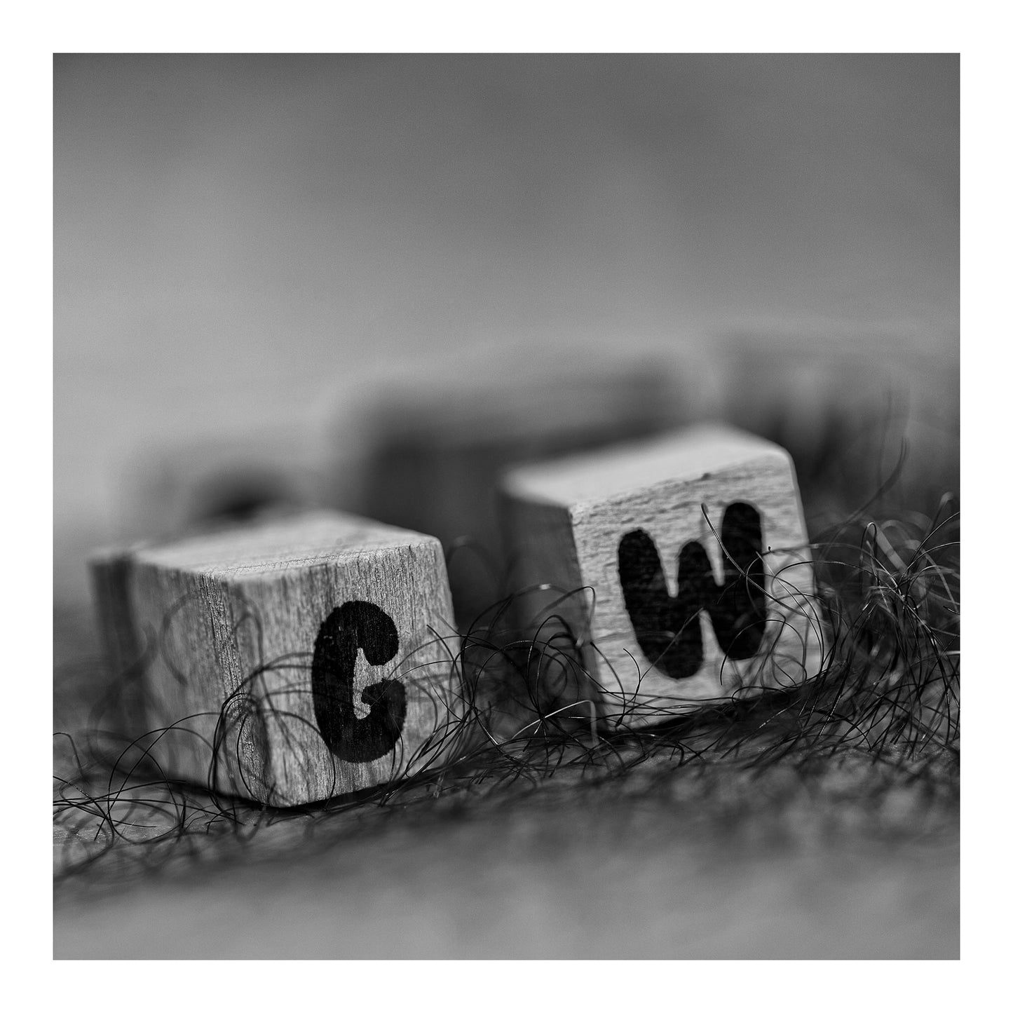 Narrative Works - Lost in the Bush - GW Bush - 60x60cm Square (#182631)