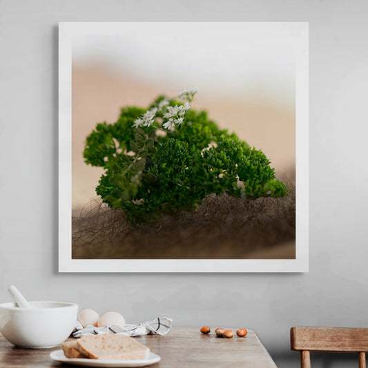 Narrative Works - Lost in the Bush - Herb Bush - 60x60cm Square (#182942)