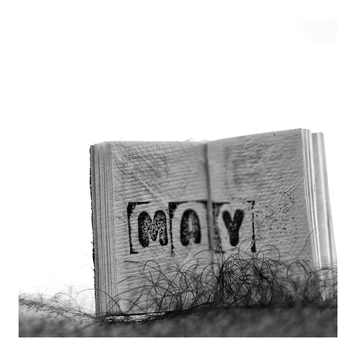 Narrative Works - Lost in the Bush - Maybush - 60x60cm Square (#182834)