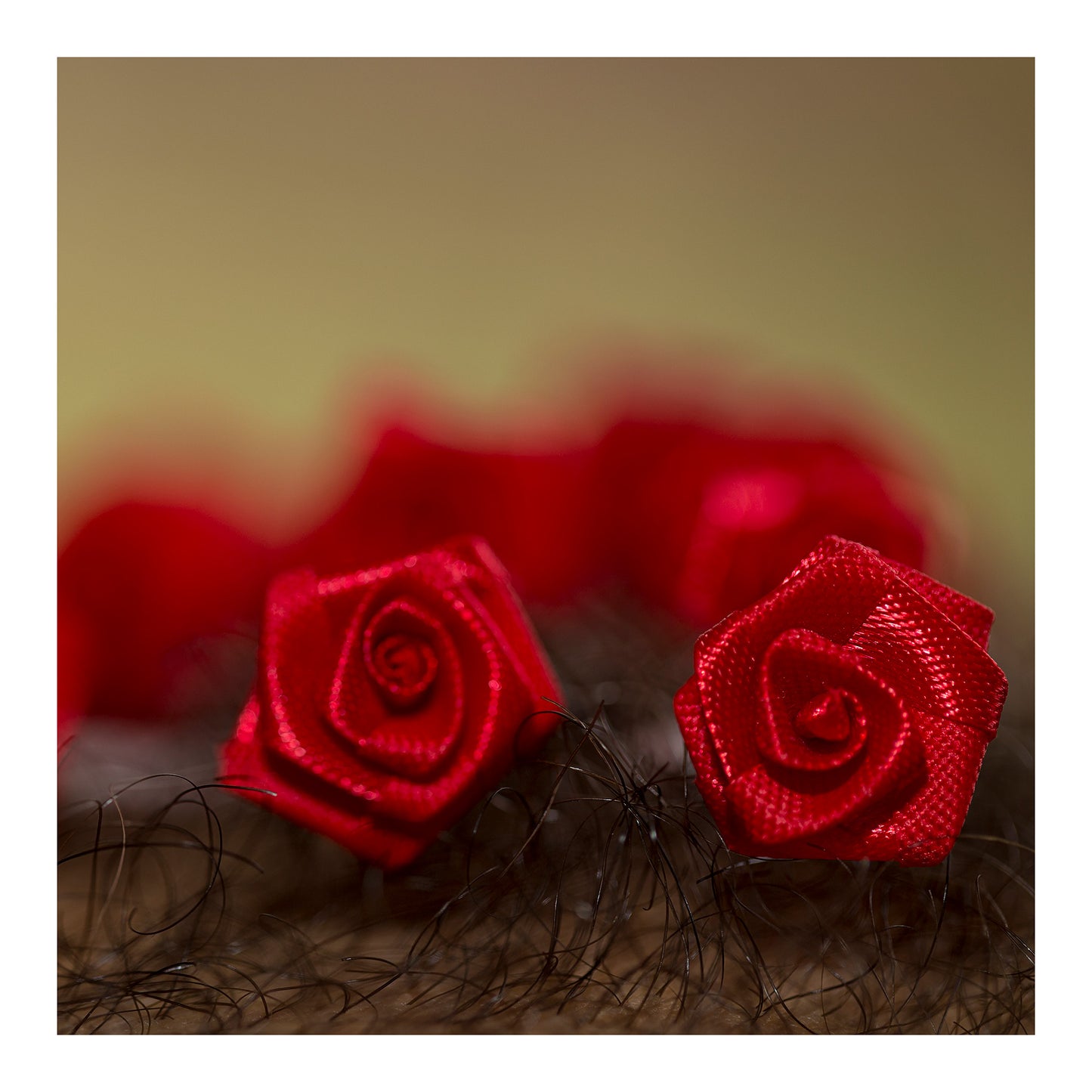 Narrative Works - Lost in the Bush - Rosebush - 60x60cm Square (#182671)